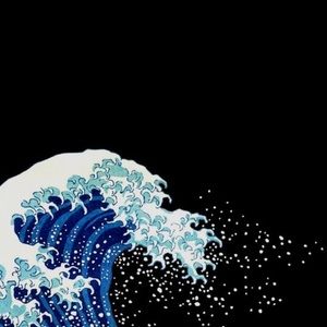 Meet your Posher, Avani